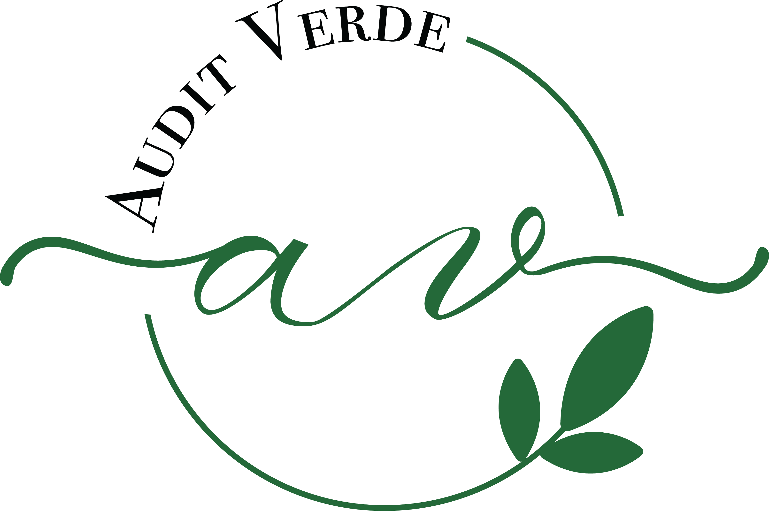 Audit Verde